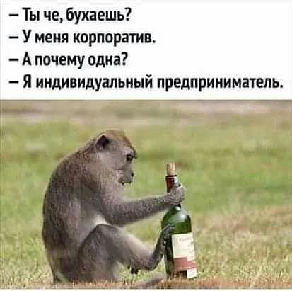 Ты че бухаешь У меня корпоратив А почему одна я индивидуальный предприниматель