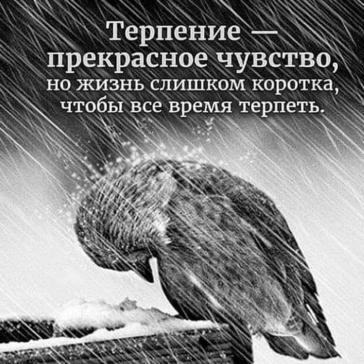 і Терпенит прекрасное чувство НО ЖИЗНЬ СЛИШКОМ КОРОТКЗ чТобы в_се время терпеть _