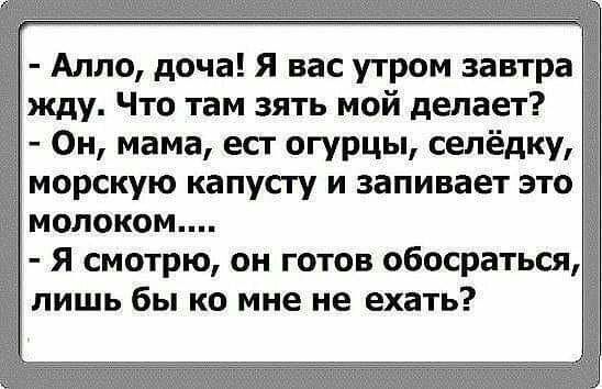 Алло доча Я вас утром завтра жду Что там зять мой делает 1 Он мама есг огурцы селёдку морскую капусту и запивает это молоком Я смотрю он готов обосраться лишь бы ко мне не ехать