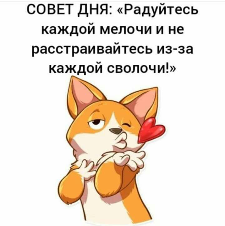 СОВЕТ ДНЯ Радуйтесь каждой мелочи и не расстраивайтесь из за каждой сволочи