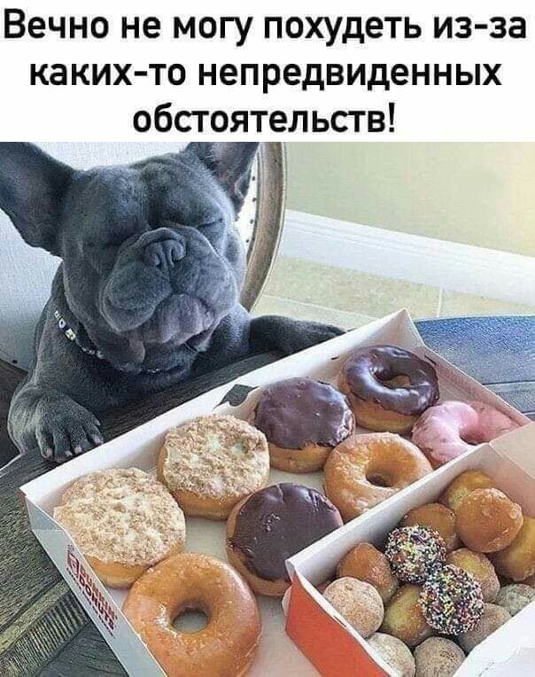 Вечно не могу похудеть из за каких то непредвиденных обстоятельств