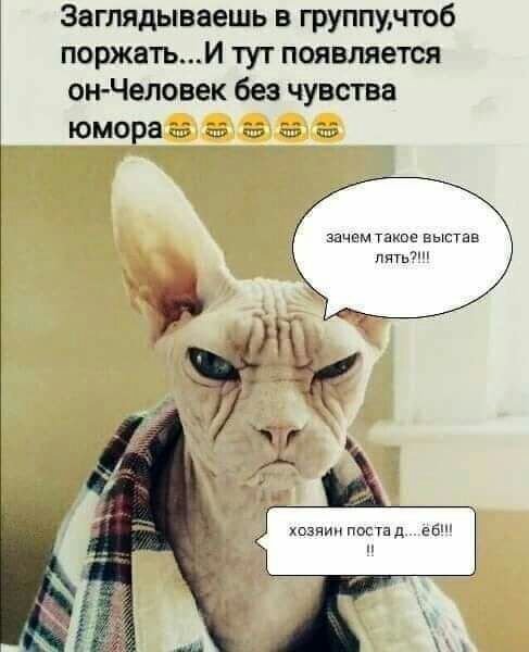 Заглядываешь в группучтоб поржатьИ тут появляется он Чеповек без чувства юмора 25 5 а 5 25 шам такои Выстав пяты