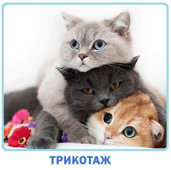 ТРИКОТАЖ