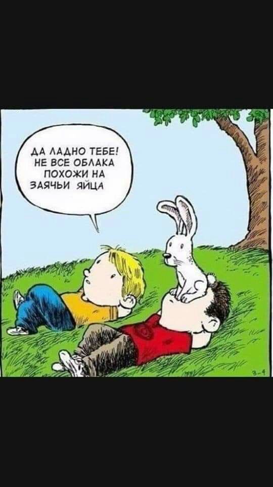 АА АААНО ТЕБЕ НЕ ВСЕ ОБААКА ПОХОЖИ НА ЗАЯЧЬИ ЯИЦА