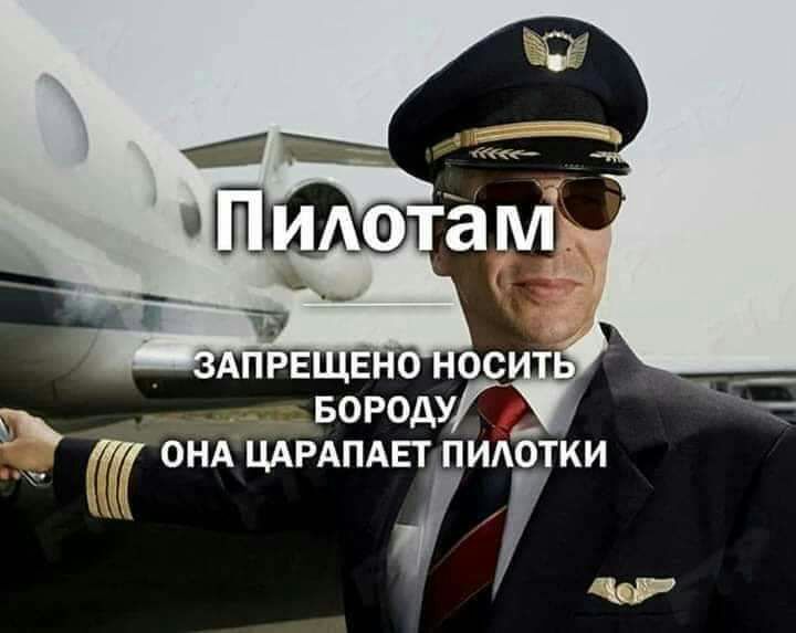 твороду _ АЦАРАПАЕТ пидотки