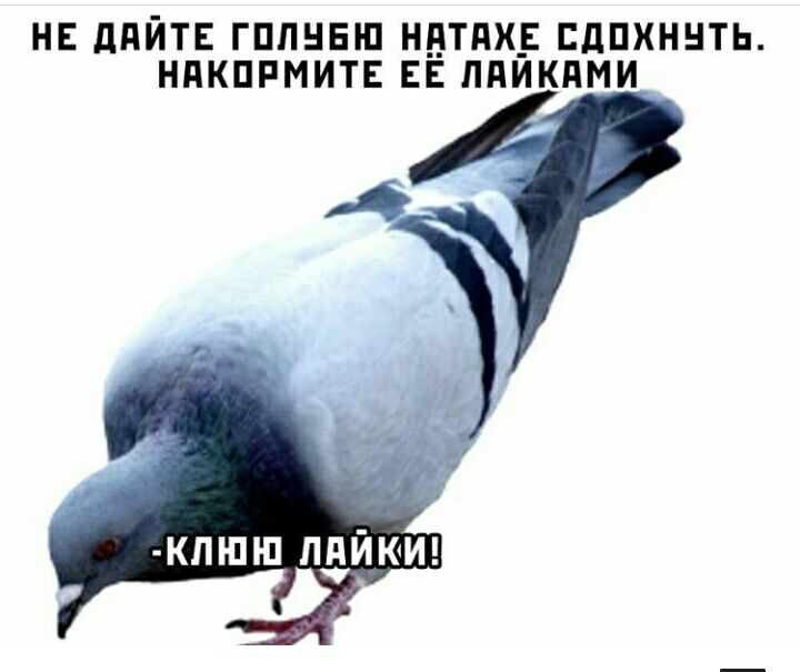 НЕ дПЙТЕ ГППНЕШ НВТПХЕ ЕдПХННТЬ НПКПРМИТЕ ЕЕ ЛПИКПМИ КЛН1П ПдЙКМ