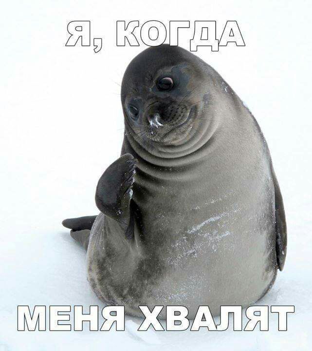 щ Ко