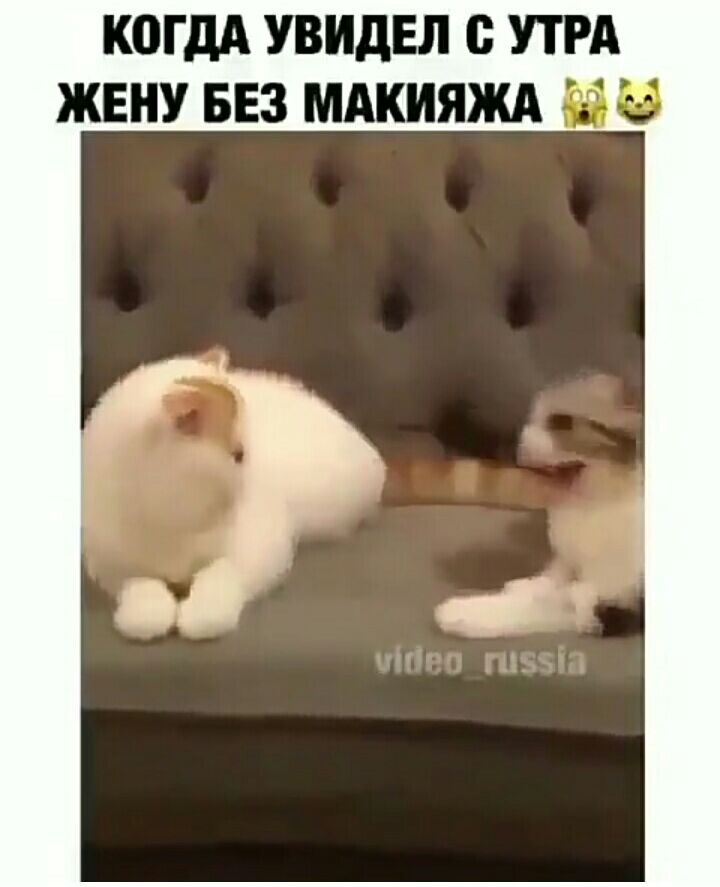КОГДА УВИдЕЛ 0 УТРА ЖЕНУ БЕЗ МАКИЯЖА ЁЁ
