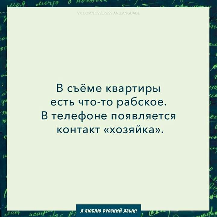 В съёме квартиры есть что то рабское В телефоне появляется контакт хозяйка люілю русский ПМК