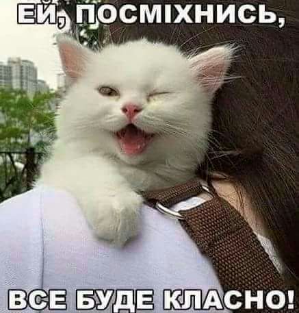 ВСЁ Е КЛАСНО