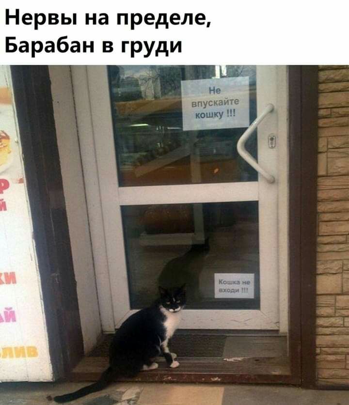 Нервы на пределе Барабан в груди Не нпускайте кошку