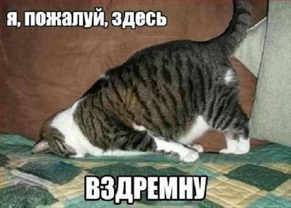 я ПВШВШЙ здесь Мэд ит