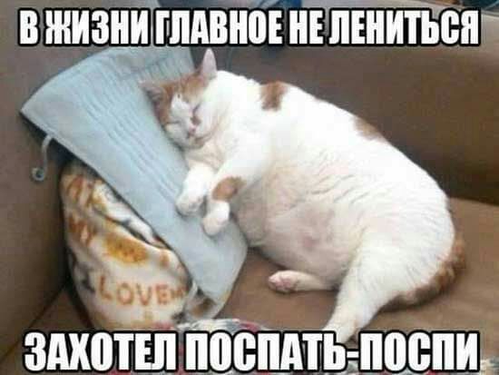 в жизни ппдшібі НЕпЕНПТЬВн здхотш пцепмьапщиь