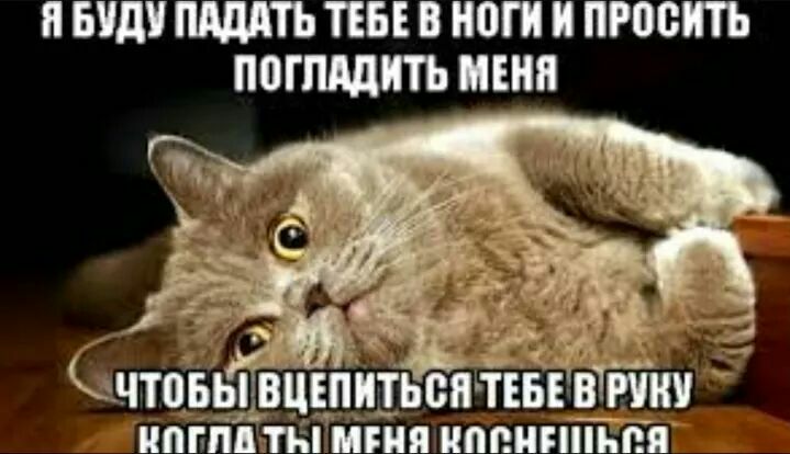П БУДУ ТЕБЕ В НПП И ЛЮБИТЬ ПППЩШТЬ МЕНЯ ЧТОБЫ ВЦЕПШЬВПГЕБЕВТЙЮ ПГПЦТНМБНЯПЦЕНПП ыя