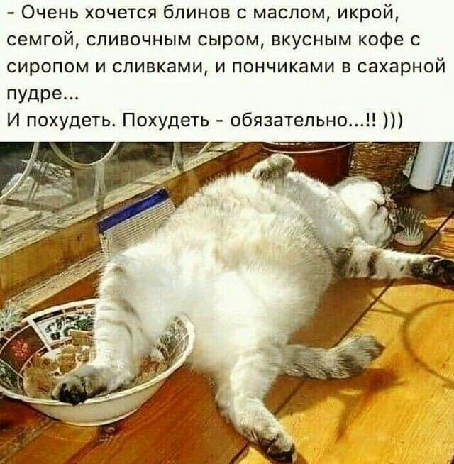 Очень хочется блинов с маслом икрой семгой сливочным сыром вкусным кофе с сиропом и сливками и пончиками в сахарной пудре И похудеть Похудеть обязательно