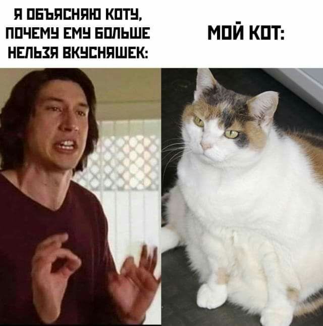 я пвъяпняш кптн _ ппчвмн Емн нппьшв МПИ КПТ нельзя вкнпняшвю