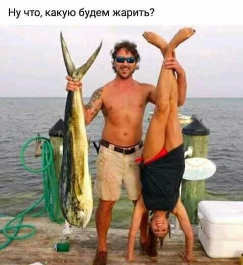Ну что какую будем жарить