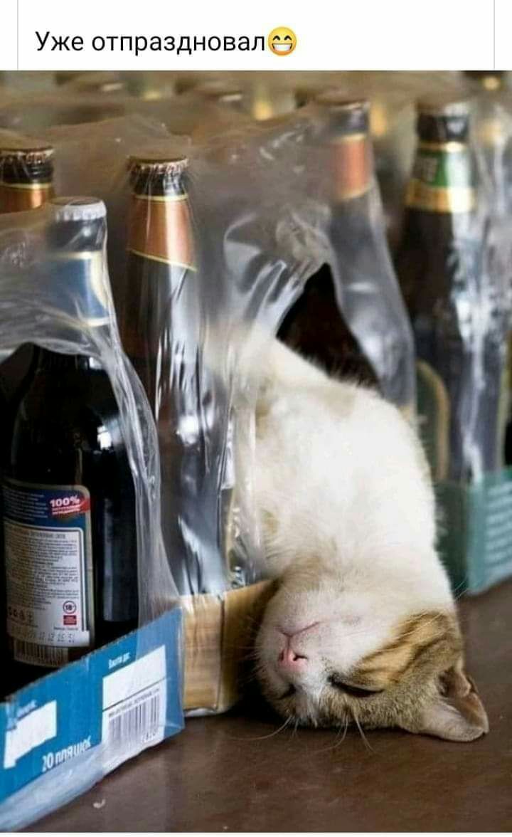 А7 А Л а В О Н д 3 а р П Т 0 е Ж У
