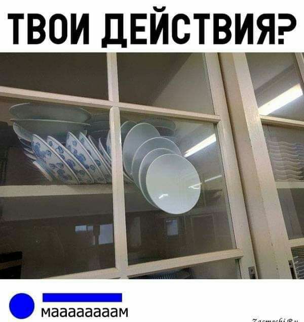 твои ДЕЙСТИВЯ