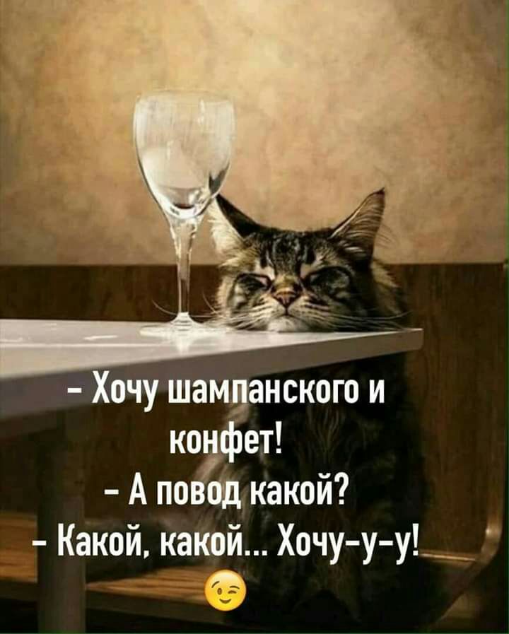 Хочу шамванского и тфет А по ад какой Какой какой Хочу у у__