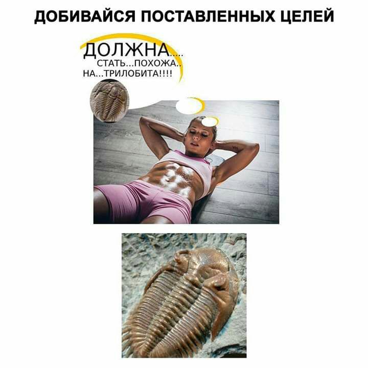 дОБИВАЙСЯ ПОСТАВПЕННЫХ ЦЕЛЕЙ