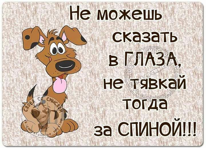 НеМоЖешь сказать В ГЛАЗ не тявкаи тфгда за спиной