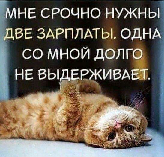 НЕ СРОЧНО НУЖНЫ ВЕ ЗАРПЛАТЫ ОДНА СО МНОЙ ДОЛГО НЕ ВЫЁЕРЖИВАЕТ