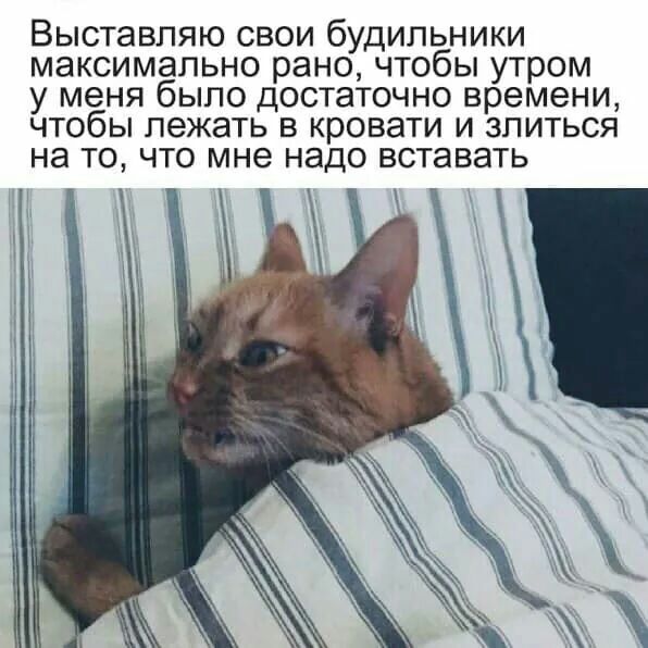 ВЫСТЗВПЯЮ СВОИ бУДИПЬНИКИ МЭКСИМЗПЬНО рано ЧТОбЫ УТРОМ у меня бЫПО ДОСТаТОЧНО времени ЧТОбЫ лежать В кровати И ЗПИТЬСЯ на ТО ЧТО мне надо вставать