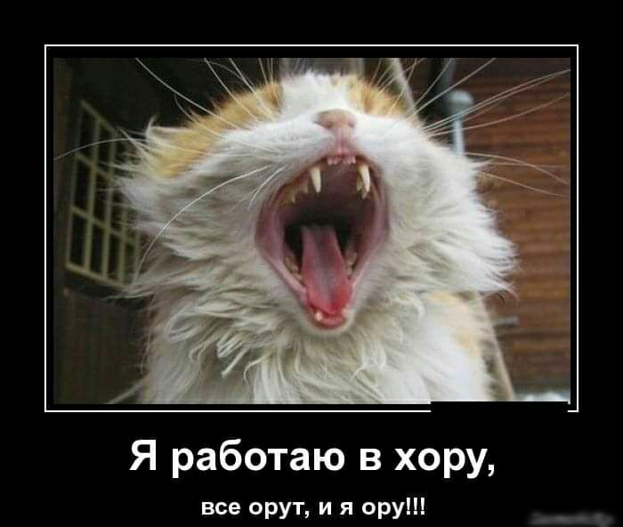 Я работаю в хору все орут и я ору