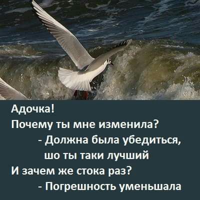 Адочка Почему ты мне изменила Должна была убедиться шо ты таки лучший И зачем же пока раз Погрешность уменьшапа