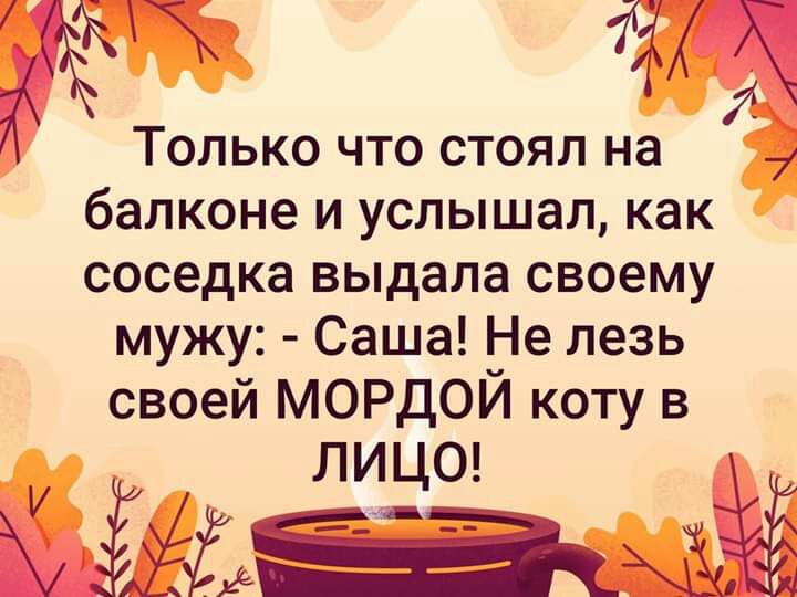 7 и Только что стоял на 7 балконе и услышал как соседка выдала своему мужу Саша Не лезь своей МОРДОЙ коту в