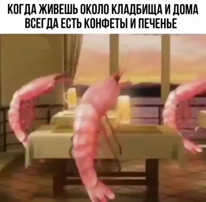 КОГДА ЖИВЕШЬ ОКОЛО КЛАДБИЩА И ДОМА ВСЕГДА ЕОТЬ КОНФЕТЫ И ПЕЧЕНЬЕ