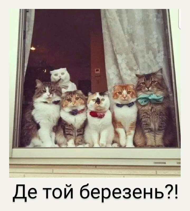 Де той березень