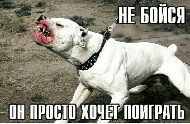 НЕ БПИБЯ ПН ПРПБШ Щ ЁТ ППИПЩЬ