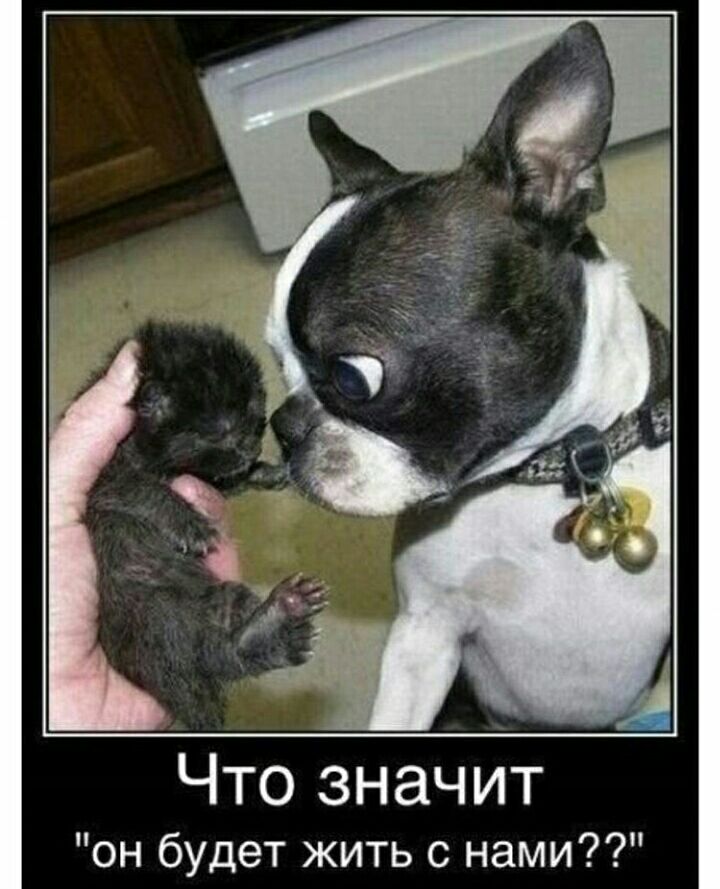Что значит он будет жить с нами