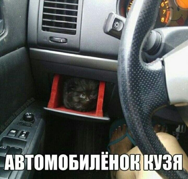 то А30М05ИЛЕ ншзнь