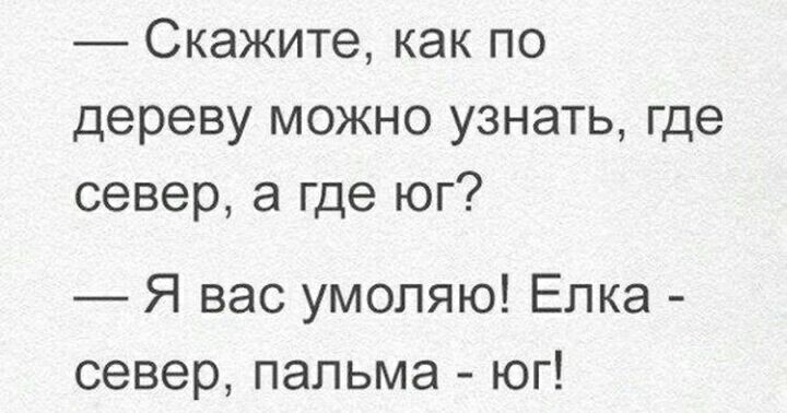 Скажите как по дереву можно узнать где север а где юг Я вас умоляю Елка север пальма юг