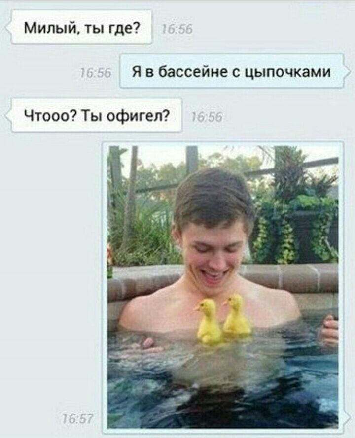 Милый ты где Я в бассейне с цыпочками Чтооо Ты офигел