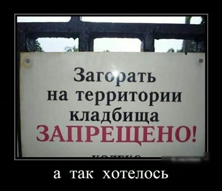 Зап рать на территории кладбища _ ЗАПРЕЩЕНО ТЗК ХОТСЛОСЬ