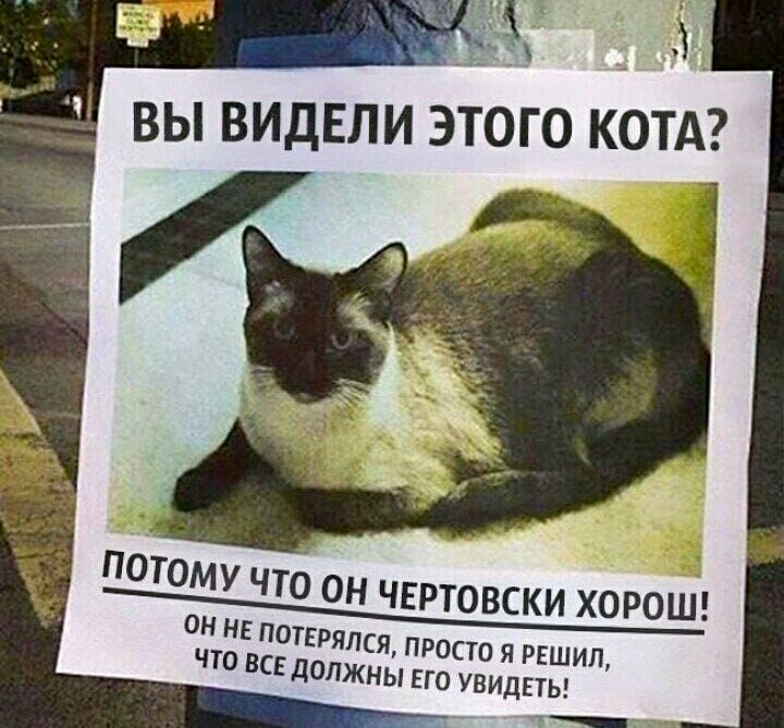 ВЫ ВИДЕЛИ ЭТОГО КОТА лотаду ЧТО ОН ЧЕРТОВСКИ ХОРОШ н не потвряпся что все должныЁЁТЁиЁЁЁЁЁИЛ н