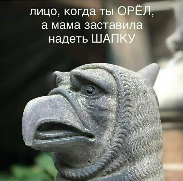 лицо когд а мама зас надеть Ш