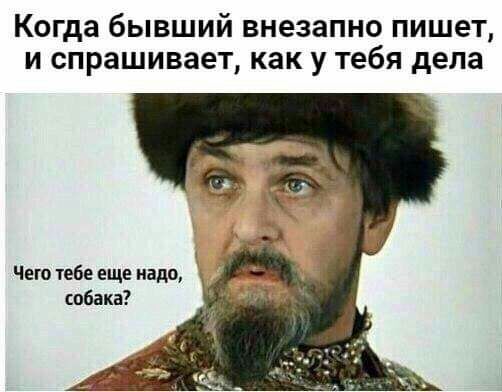 Когда бывший внезапно пишет и спрашивает как у тебя дела Чего тебе еще надо собака