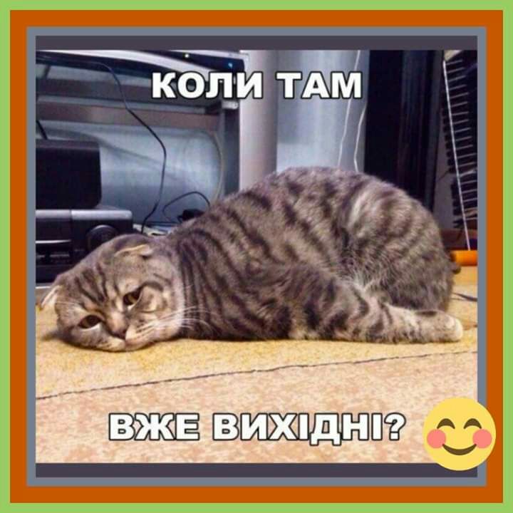 впжпдн