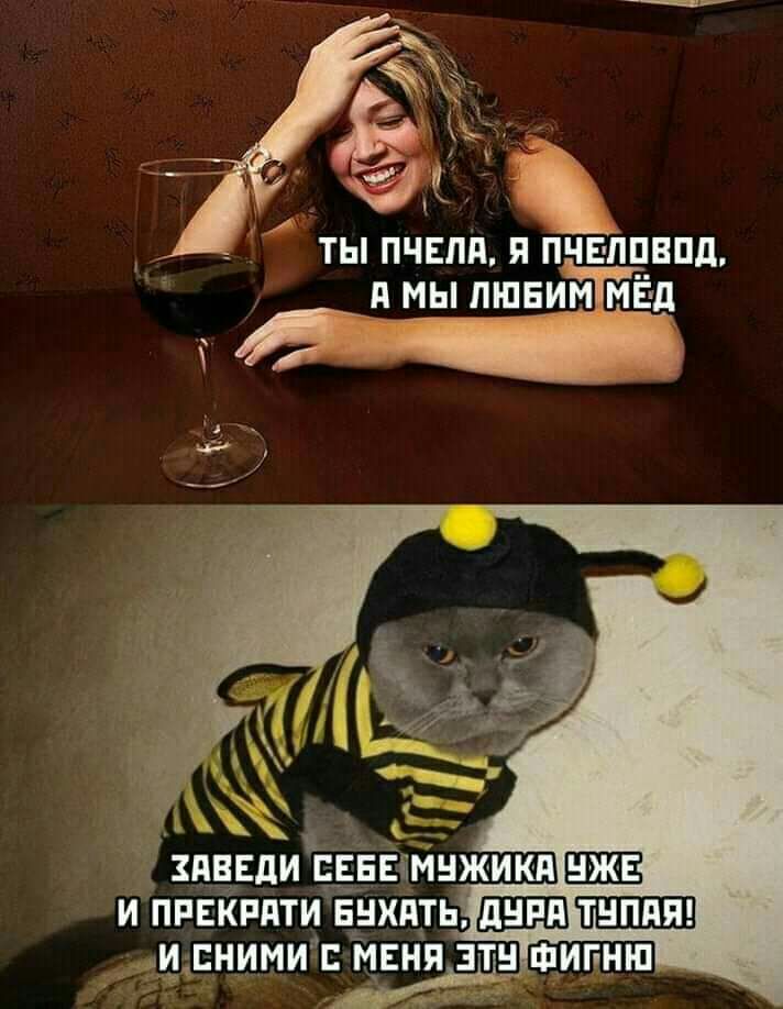 ты пчвпи пчвппвпд и мы пшвим МЁ д д И ЕНИМИ МЕНЯ ЭТВ ФИГНШ