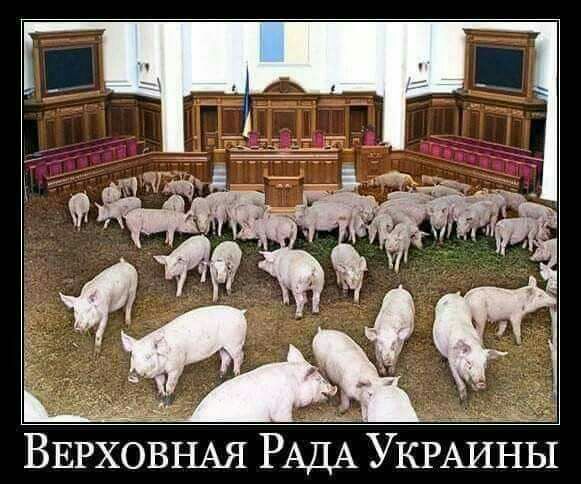 ВЕРХОВНАЯ РАДА УКРАИНЫ