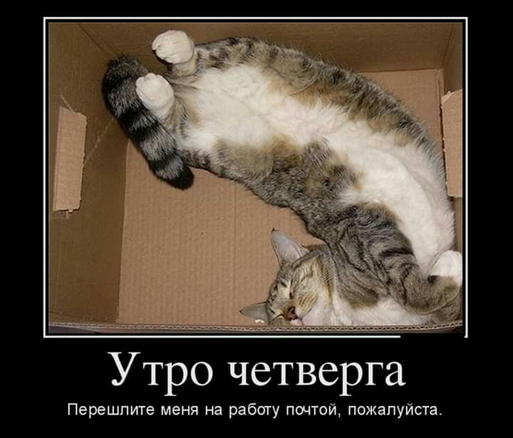 Утро четверга Перешлите меня на работу почтой пожалуйста