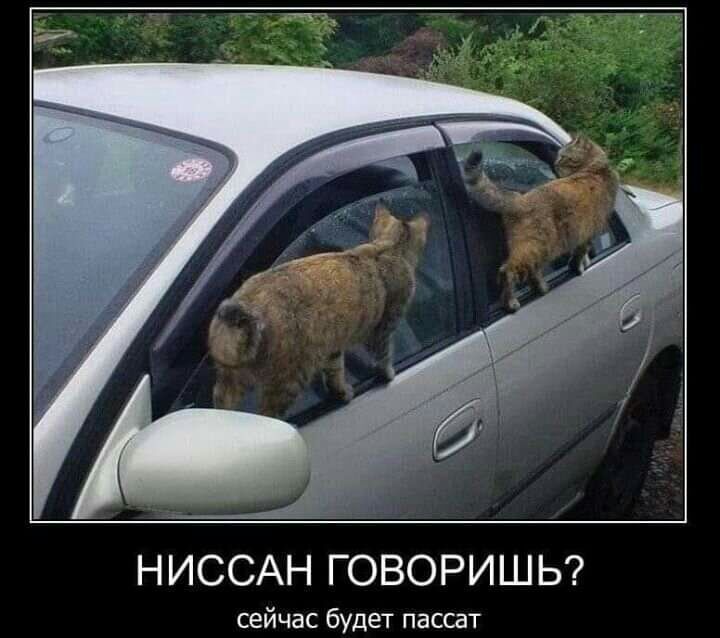 НИССАН ГОВОРИШЬ сейчас будет пассат