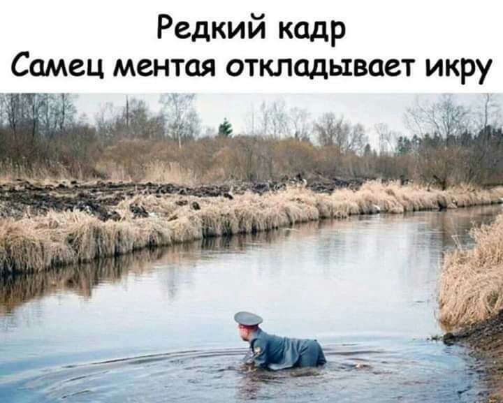 Редкий кадр