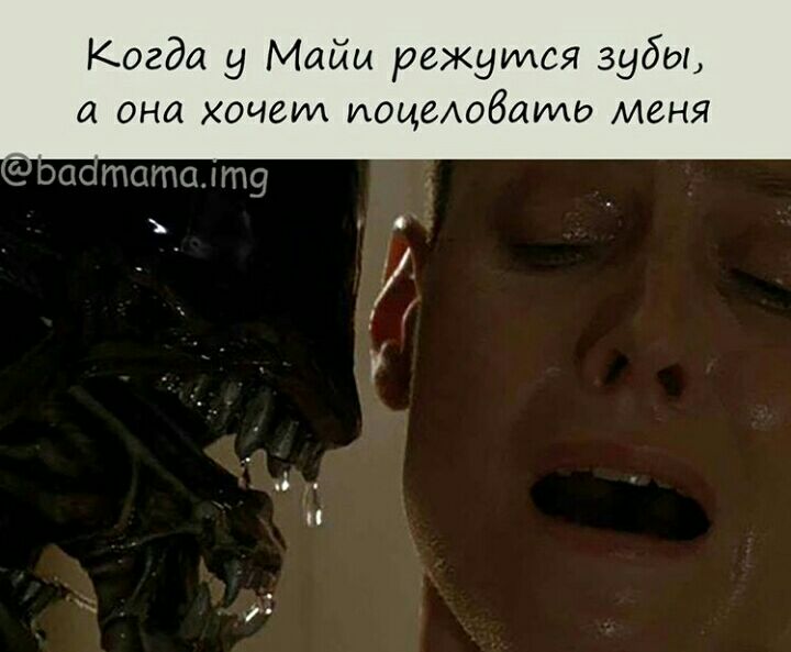 Когда у Майи режутся зубы она хочет иоцеАобаиию меня а татшт9 д