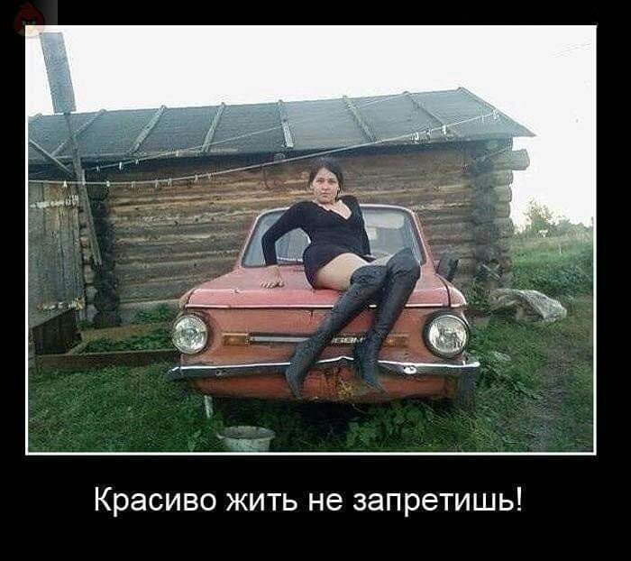 Красиво жить не запретишь